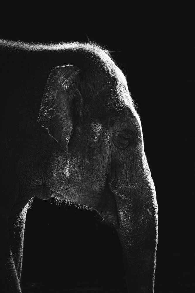 Photograph by Burak Demir