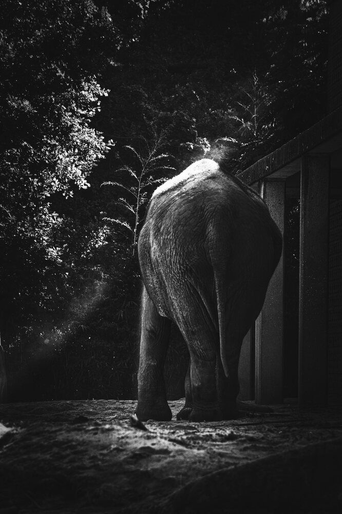 Photograph by Burak Demir