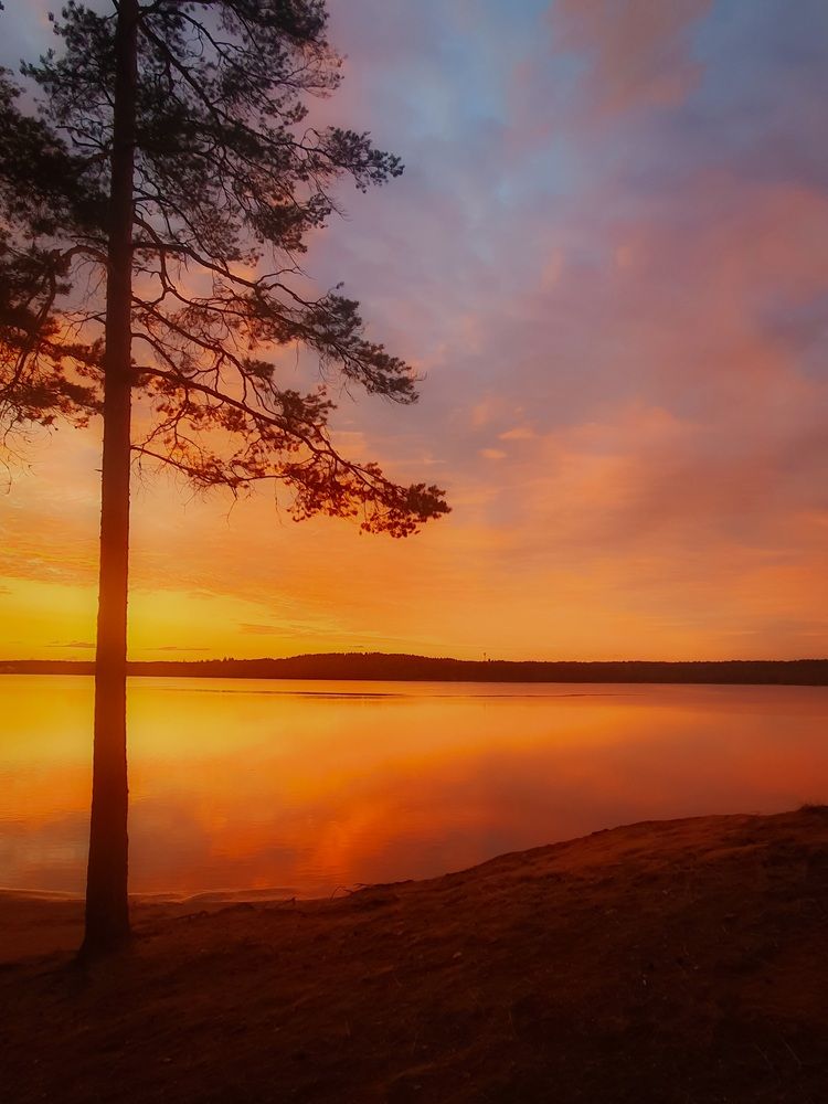 Photograph by Inna Evseeva