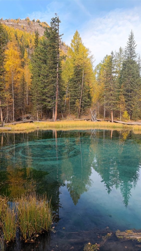 Бирюзовая тайна