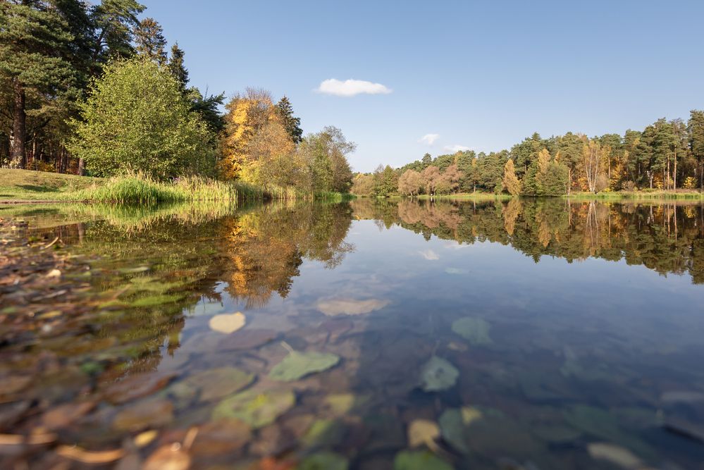 Photograph by Алексей Новиков