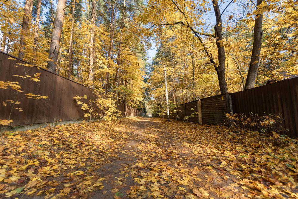 Photograph by Алексей Новиков