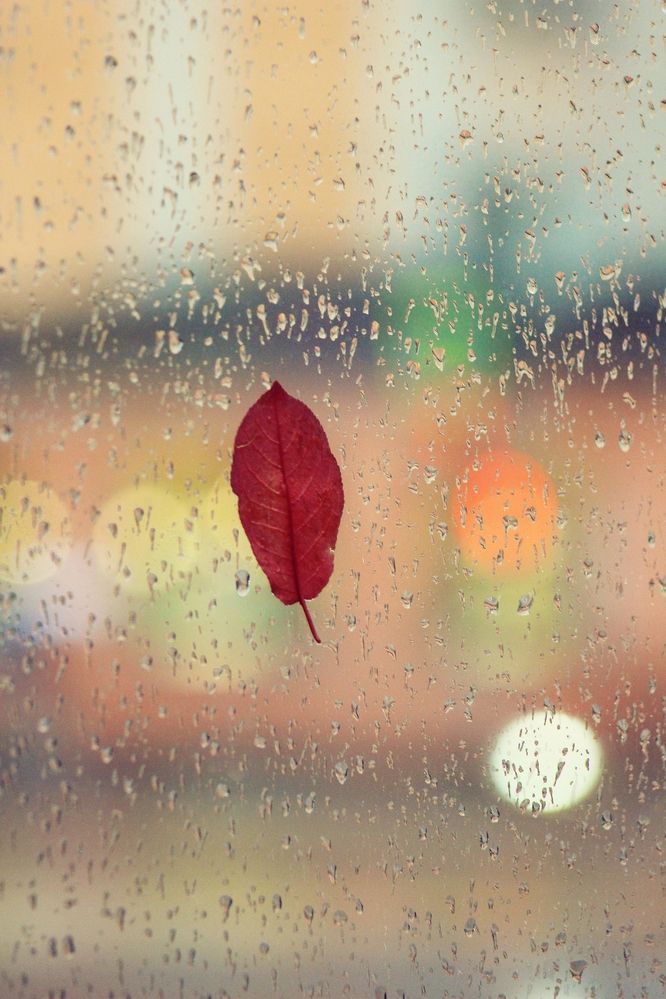 Photograph by Лилия Мархинина