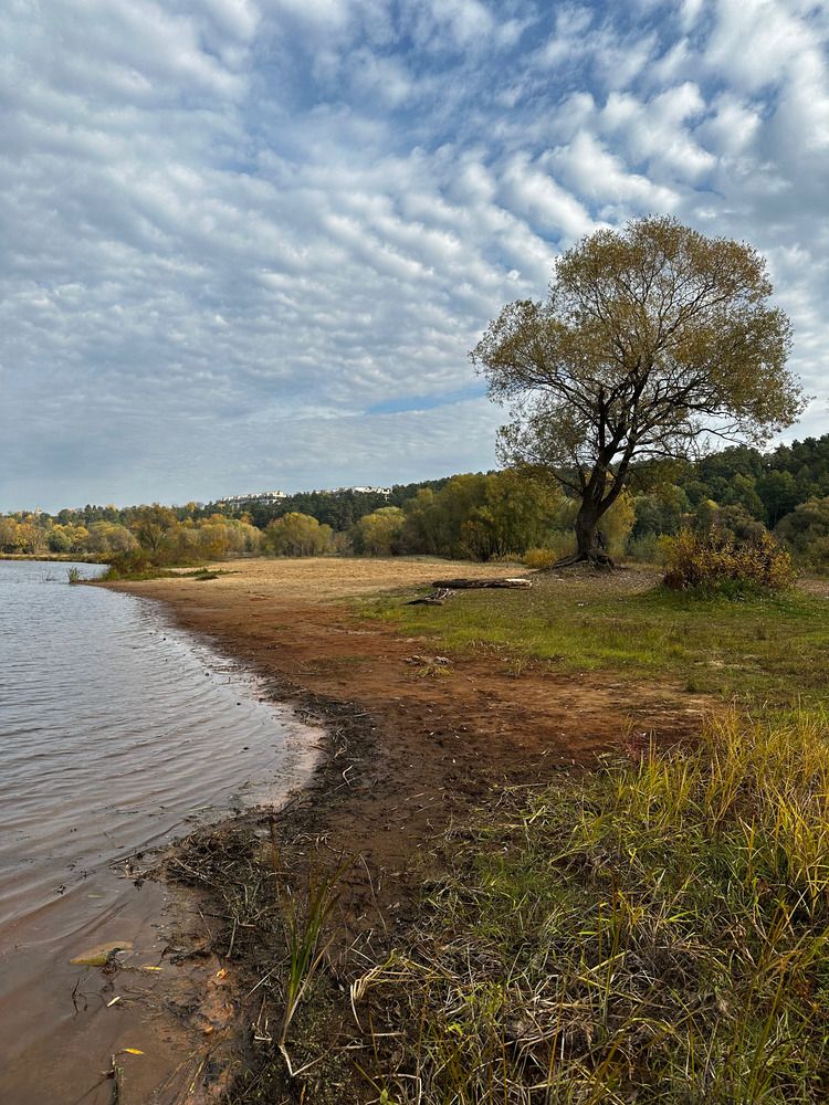 Photograph by Svetlana Rashidova