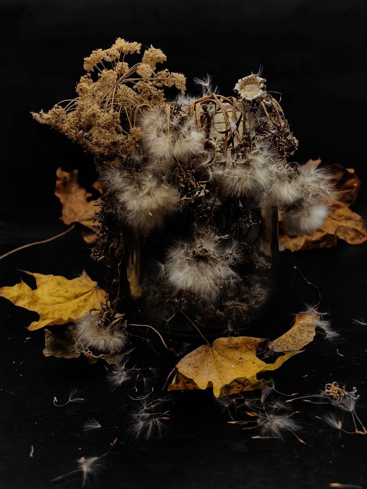 Photograph by Лолита Богачева