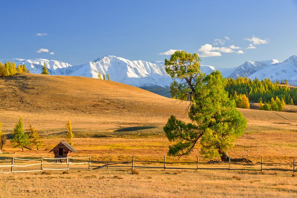 Фотография автора Григорашев Денис