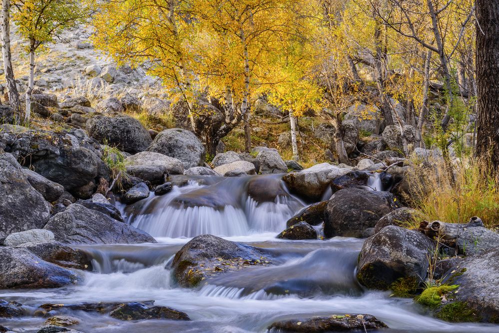 Фотография автора Григорашев Денис
