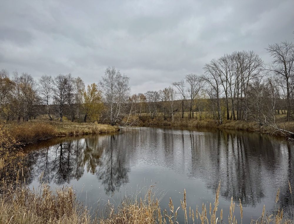 Фотография автора Евгения Елисеева