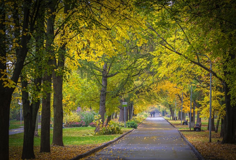 Photograph by Сергей Басов