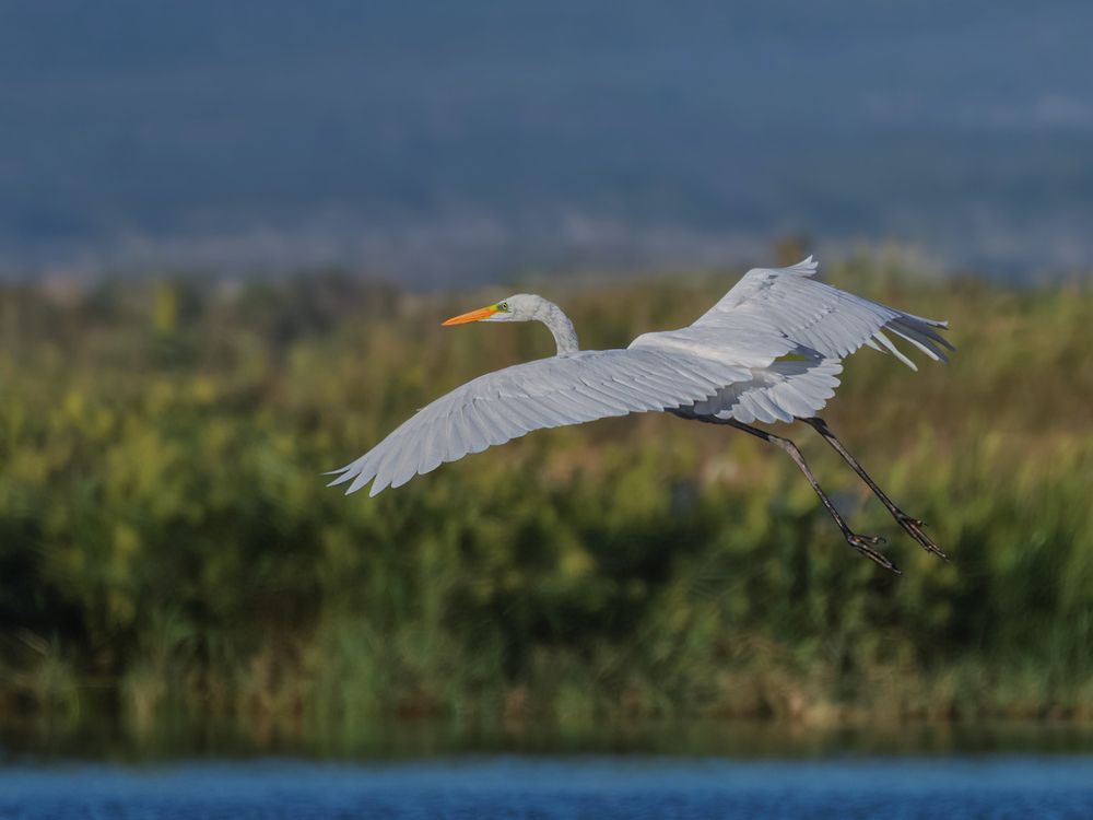 Photograph by Марина Ческис