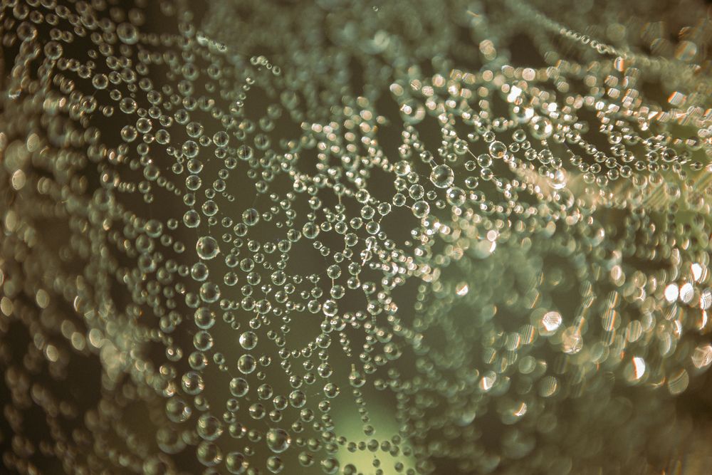 Photograph by Марина Гаврилова