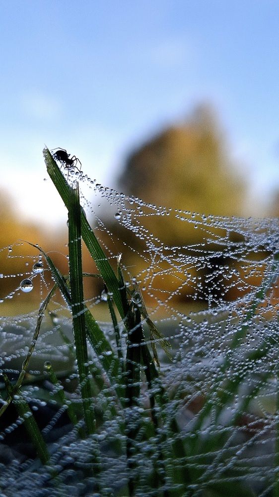 Photograph by Мария Емец