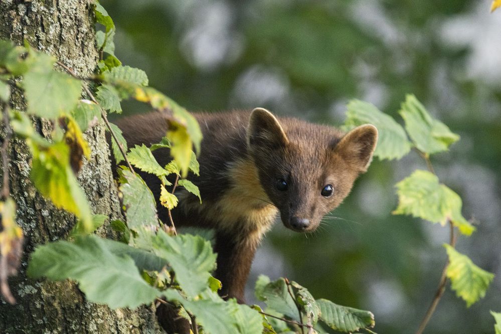 Photograph by Ольга Левакова
