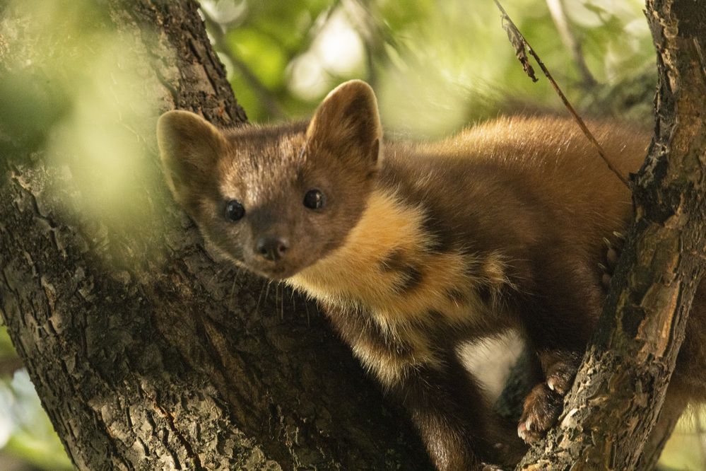 Photograph by Ольга Левакова