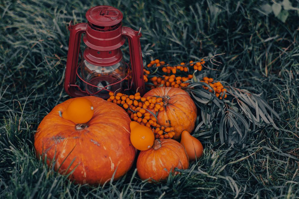 Photograph by Марина Гаврилова