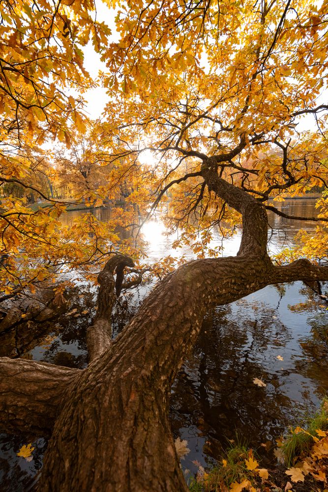 Photograph by Alexey S