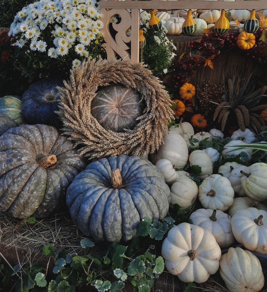 Photograph by Юлия Носкова