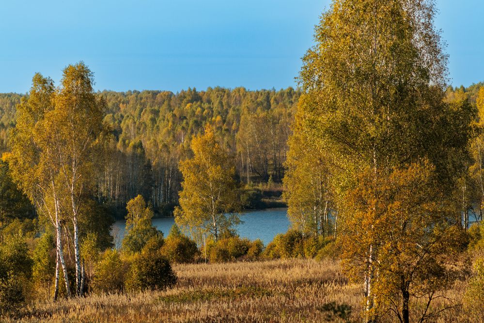 Фотография автора Aamoda Kitchen