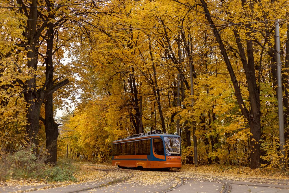 Фотография автора Татьяна Лазарева