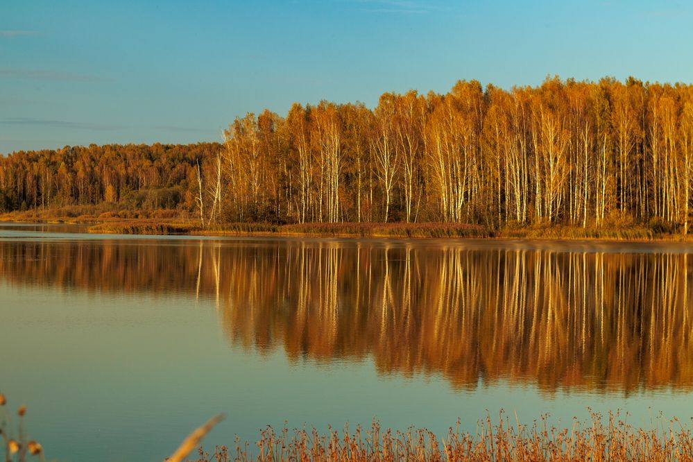 Фотография автора Aamoda Kitchen