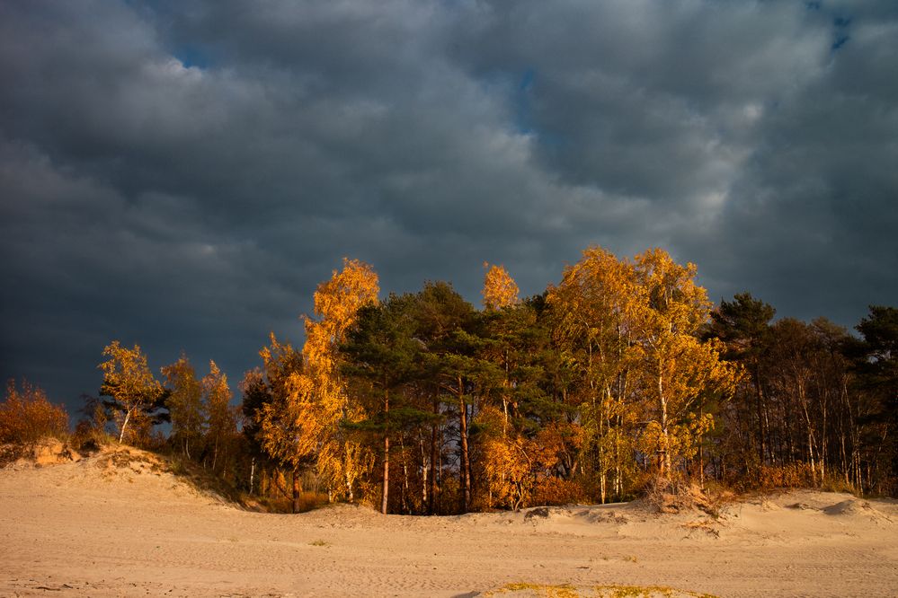 Photograph by Дьяченко Алёна