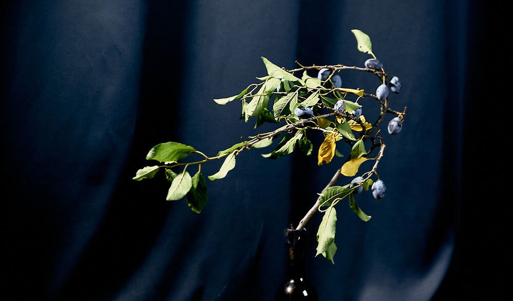 Photograph by Константин Громов