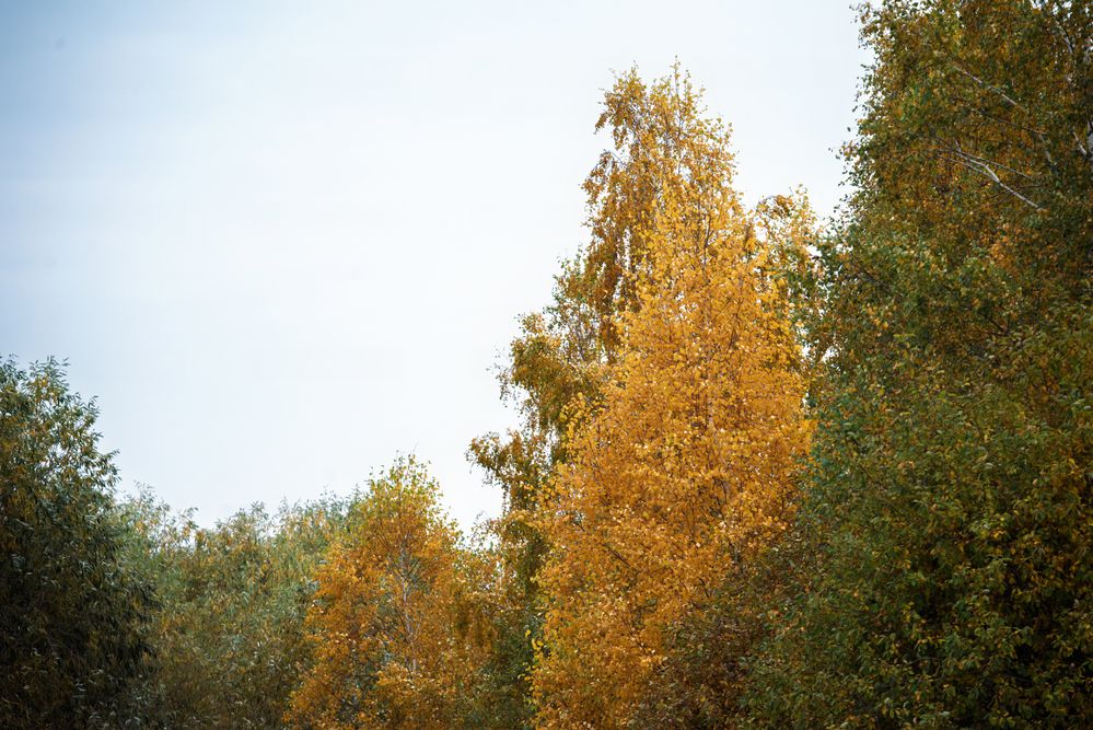 Photograph by наталья залогина