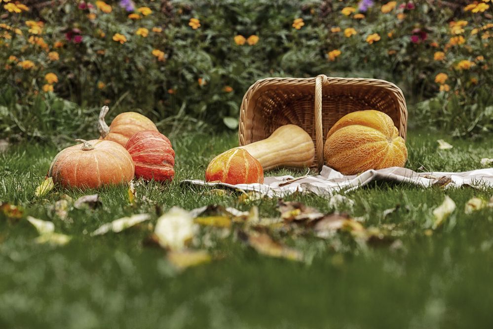 Photograph by Ольга Софронова