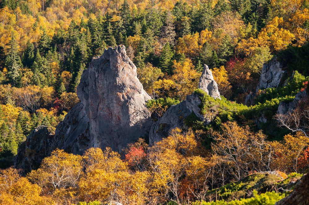 Photograph by Василиса Ногина