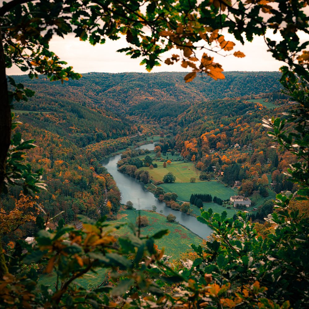 Photograph by Михаил Мамаев