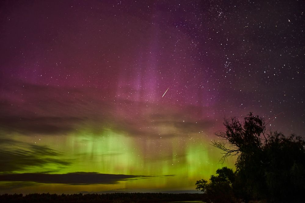 Фотография автора Игорь Игоревич