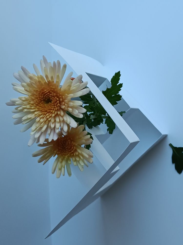 Фотография автора Екатерина Пачина