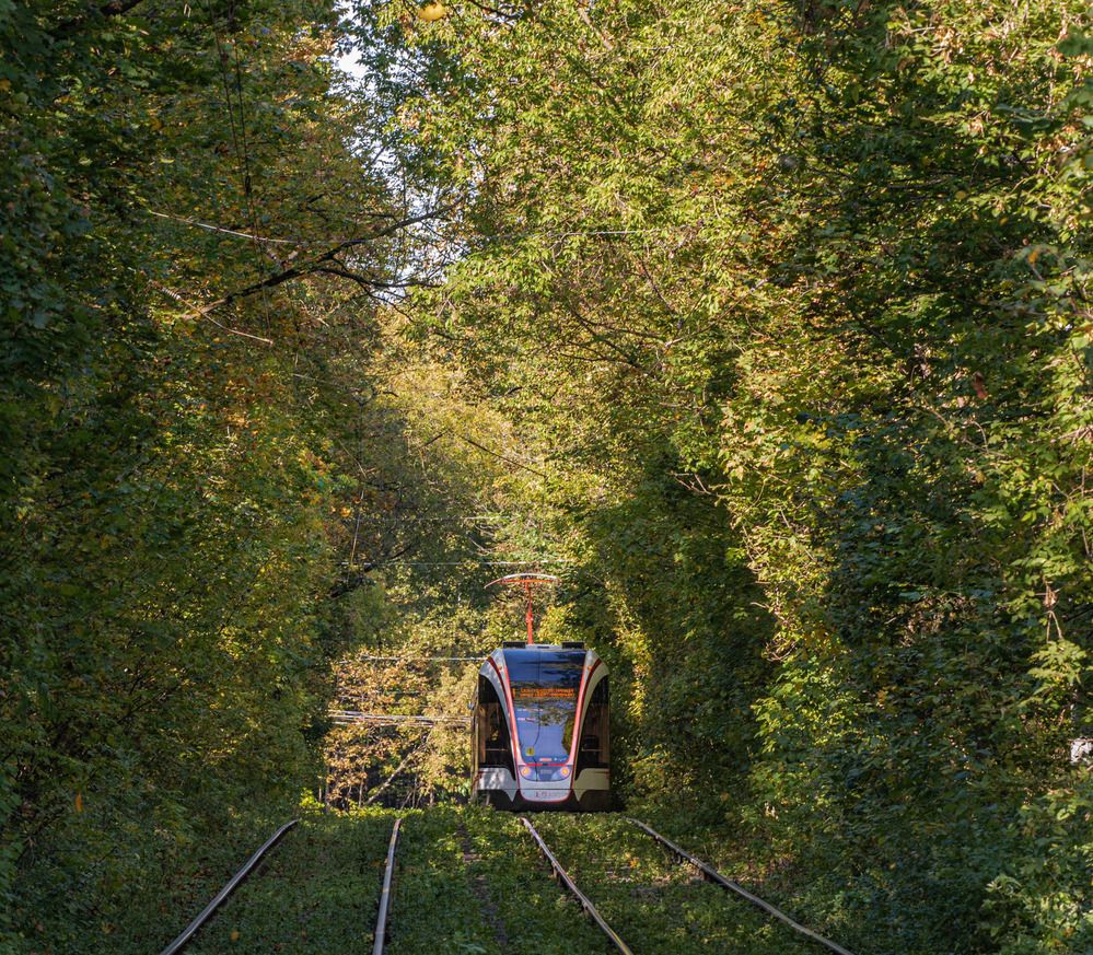 Photograph by Сергей Басов