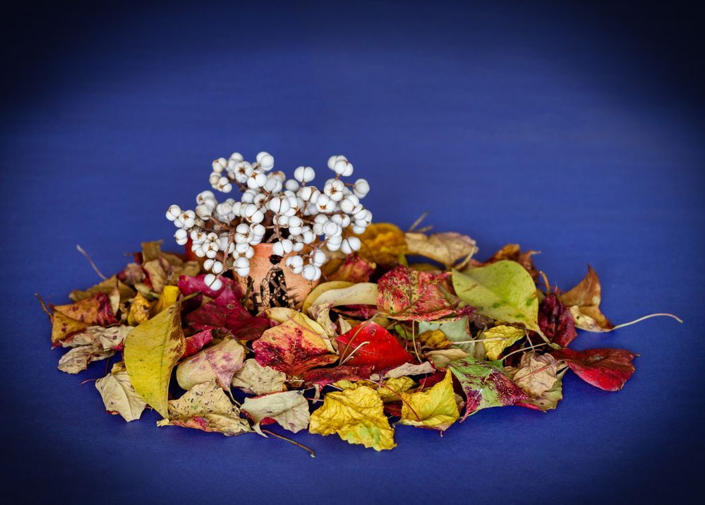 Photograph by Анатолий Костерев