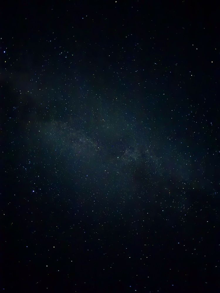 Фотография автора Елена Меньшикова