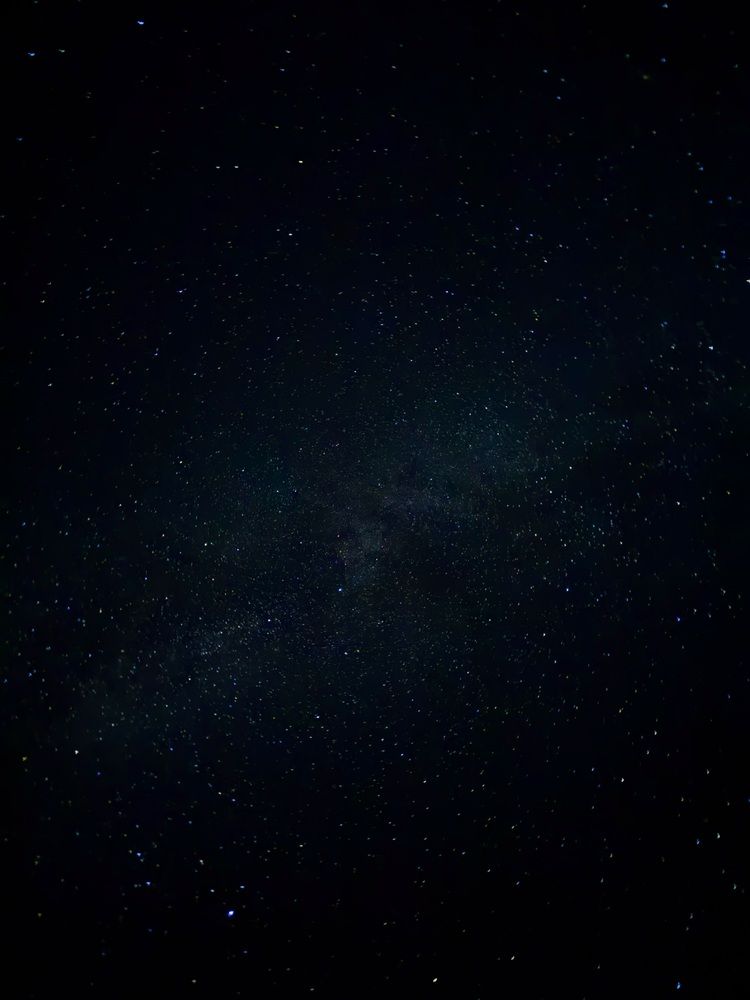 Фотография автора Елена Меньшикова