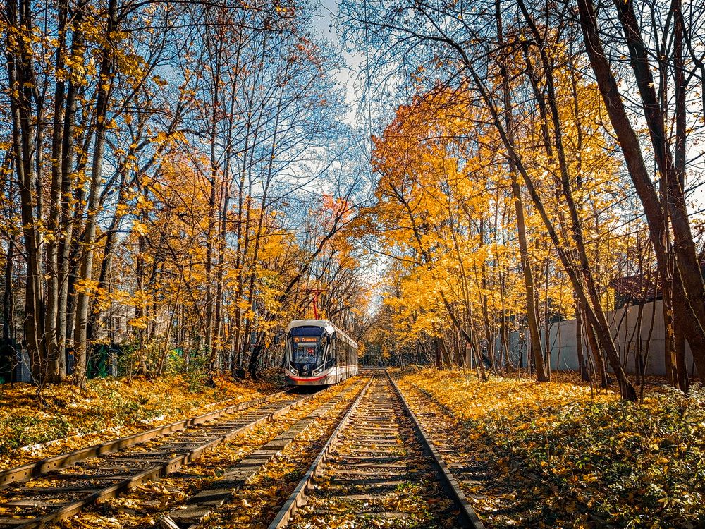 Photograph by Екатерина Никитина