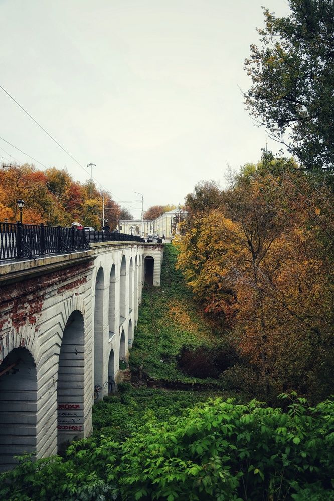 Фотография автора Роман Савин