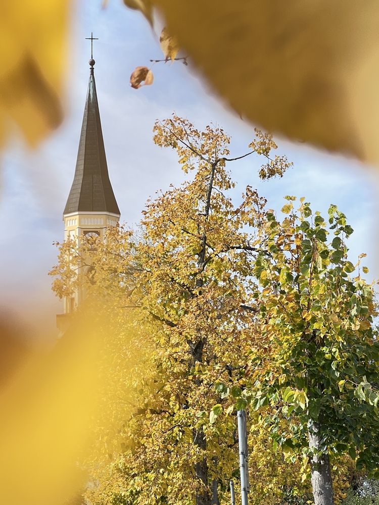 Photograph by Eugenia Schmidt