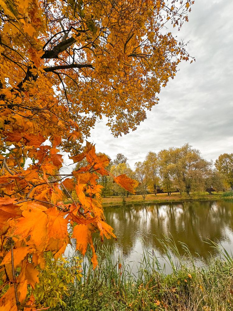 Photograph by Яна Лугинина