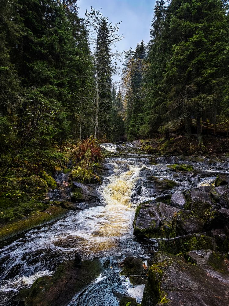 Photograph by Артём Бочкарёв