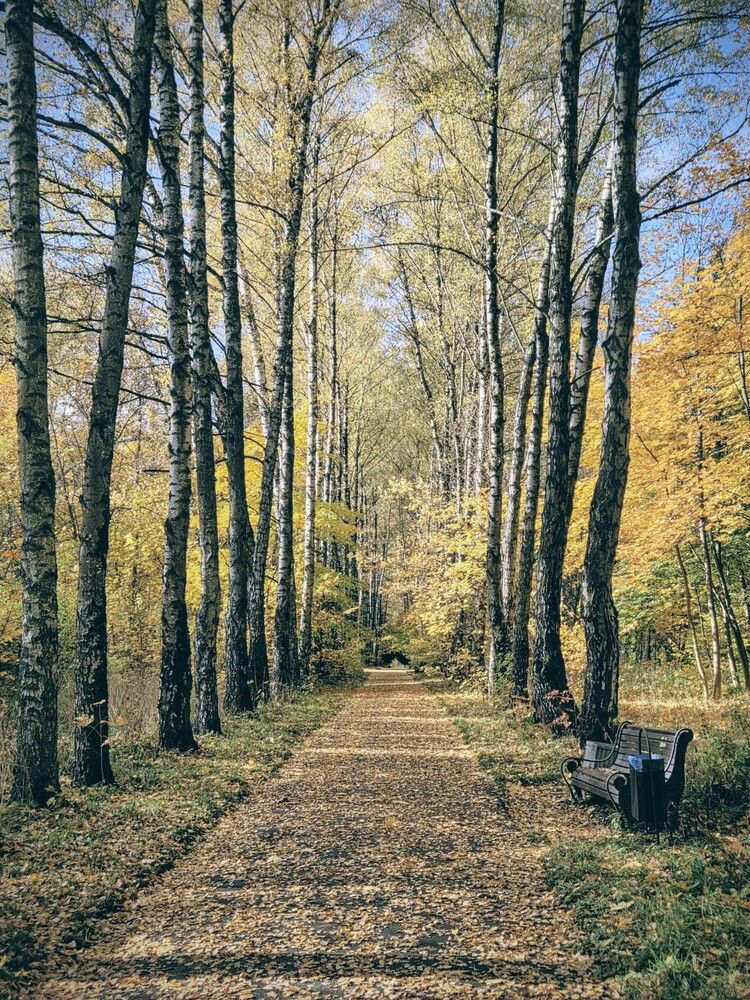 Photograph by Дарья Булавина