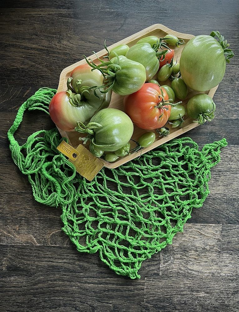 Photograph by Юлия Гермони