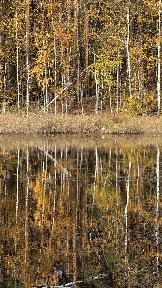 Photograph by Елена Гущина