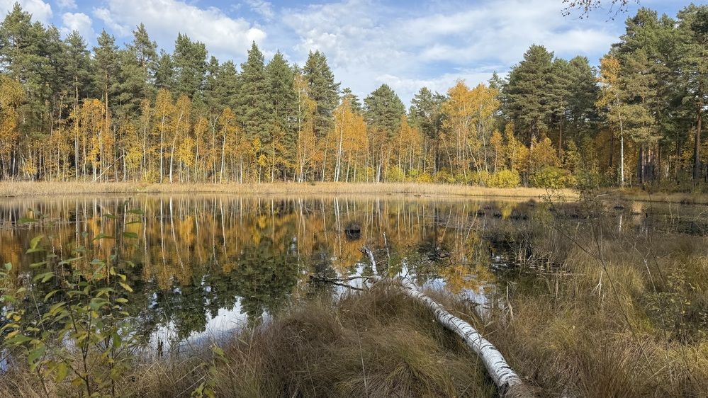 Photograph by Елена Гущина