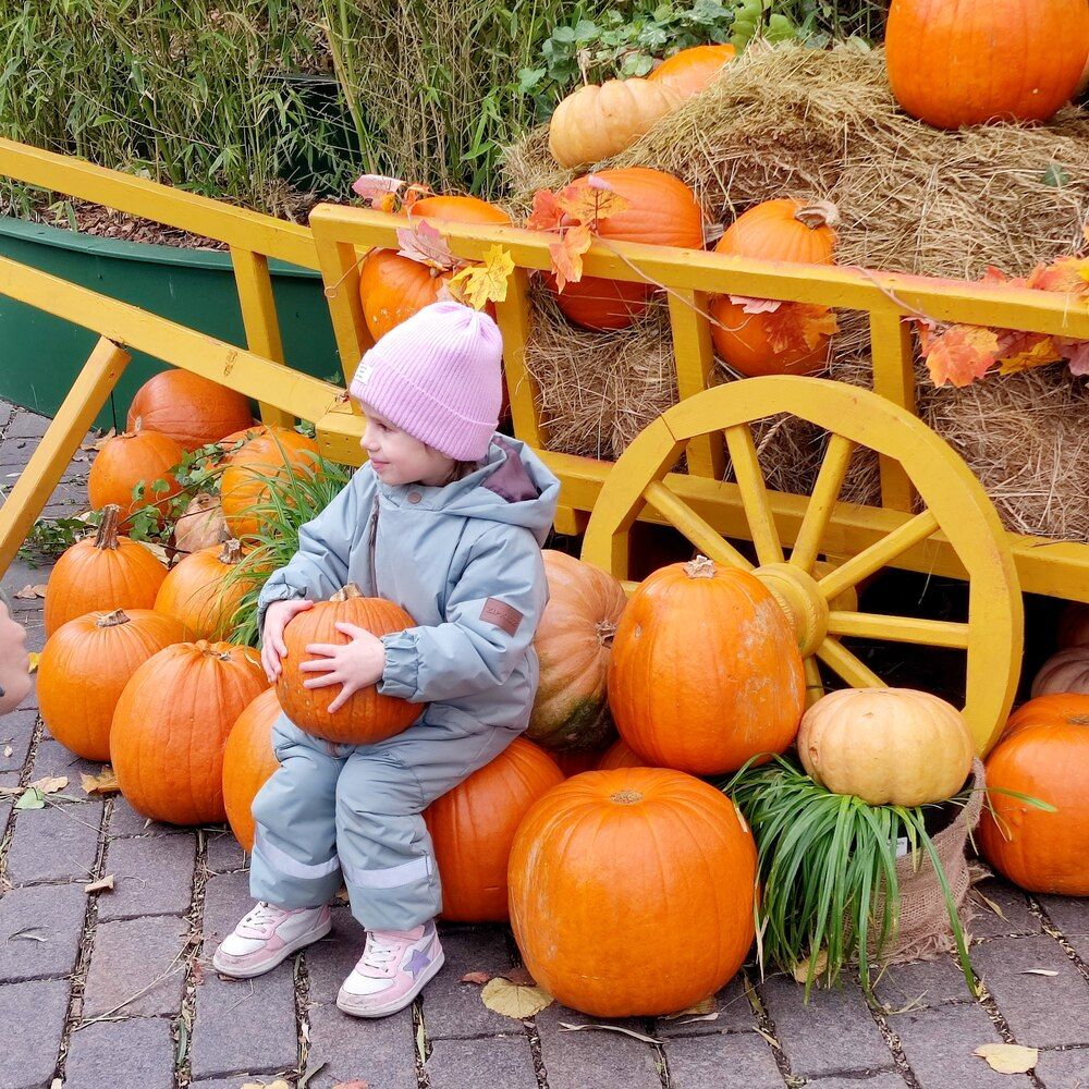 Ой, какая тыковка!