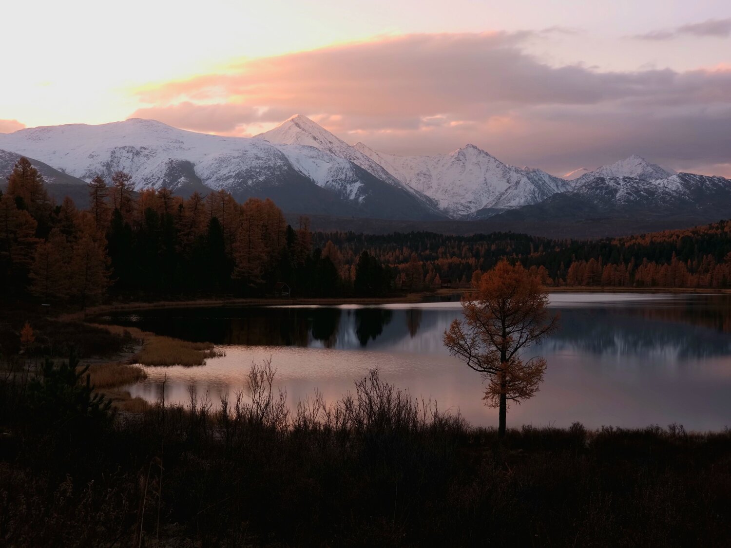 Photo #12699743