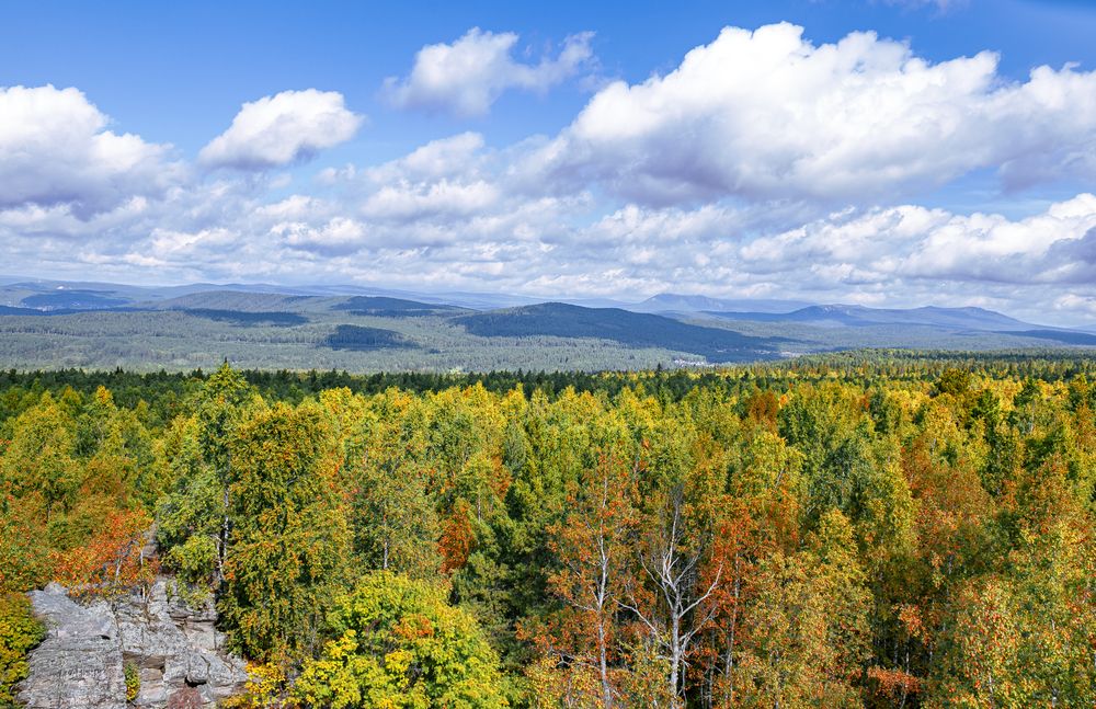 Photograph by Елена Куртеева