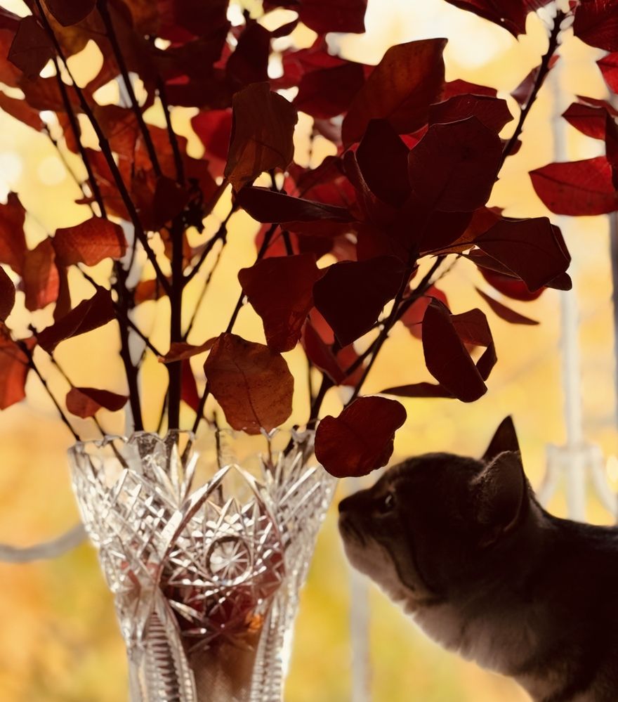 Photograph by Марина Шеина