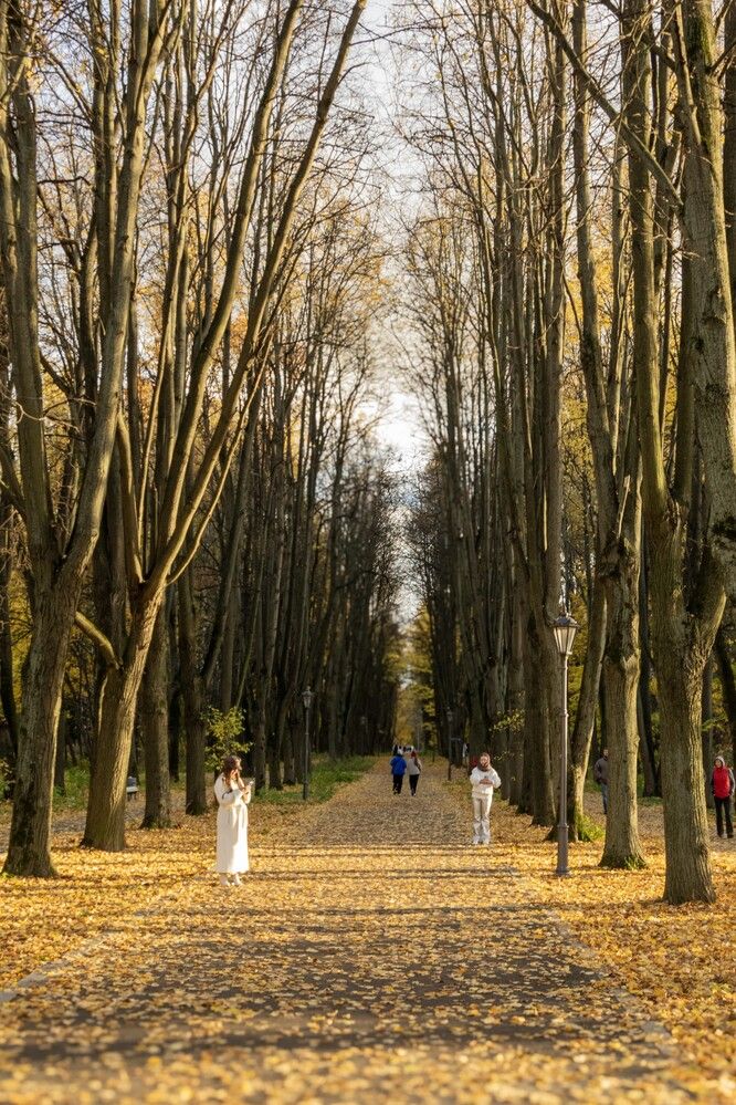 Photograph by Alex P